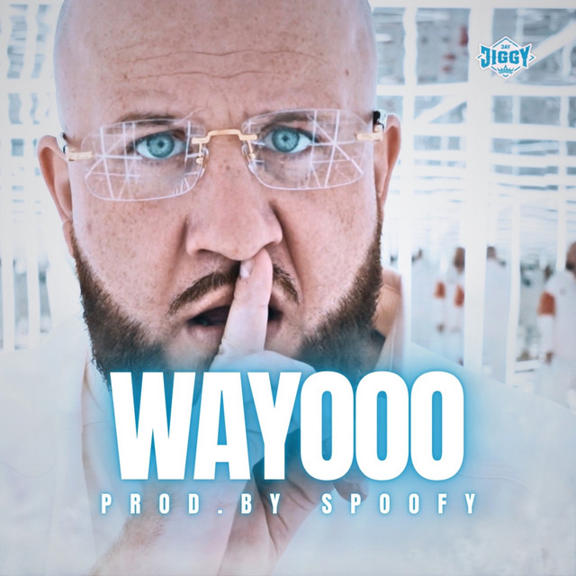 WAYOOO cover art