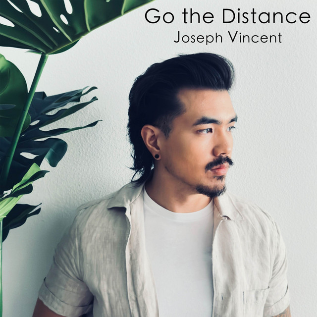 Go the Distance album image
