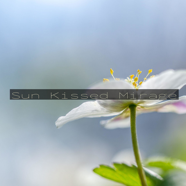 Sun Kissed Mirage cover art