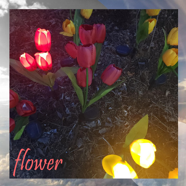 Flower cover art
