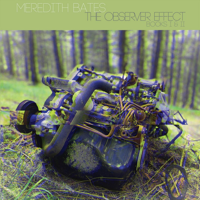 The Observer Effect cover art