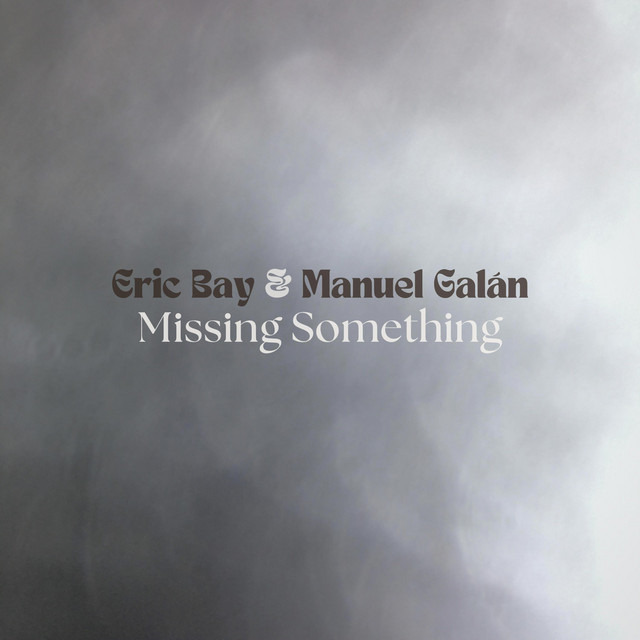 Missing Something cover art