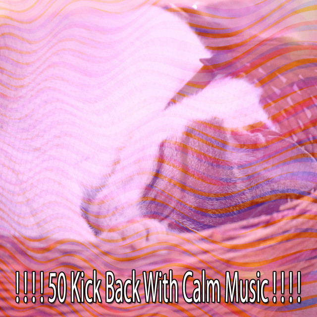 ! ! ! ! 50 Kick Back With Calm Music ! ! ! ! cover art