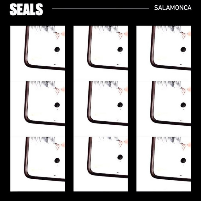 Seals cover art