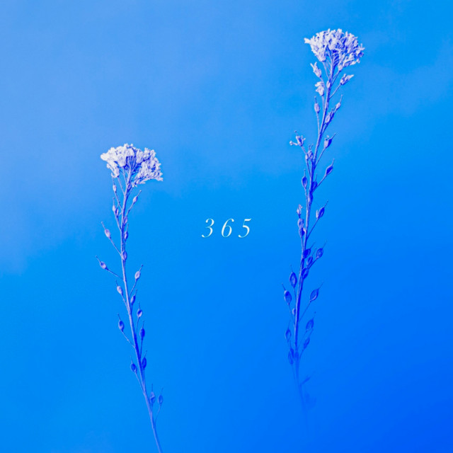 365 cover art