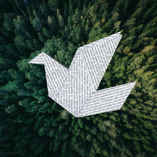 undefined album image