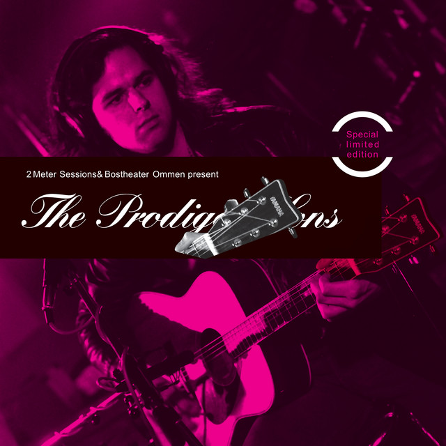 The Prodigal Sons (2 Meter Session) cover