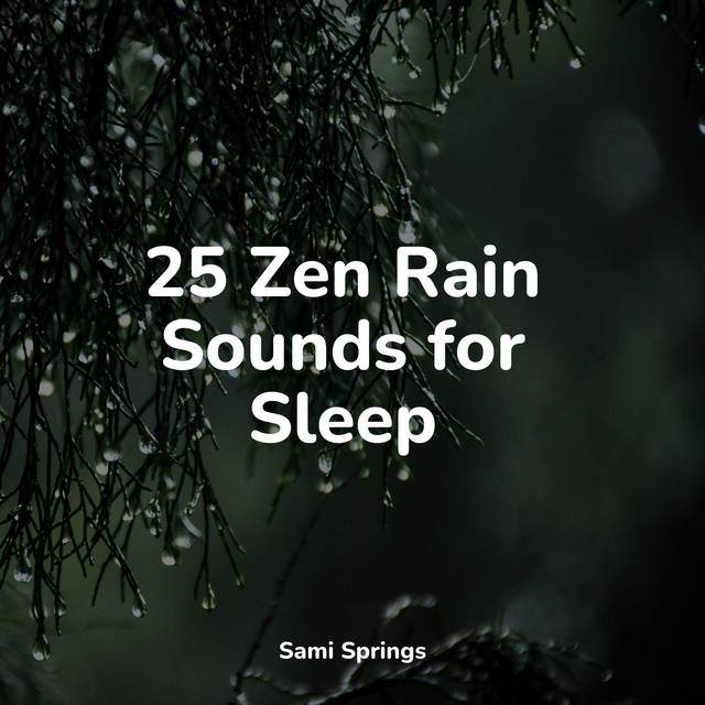 25 Zen Rain Sounds for Sleep - Album by Nature Sound Series | Spotify