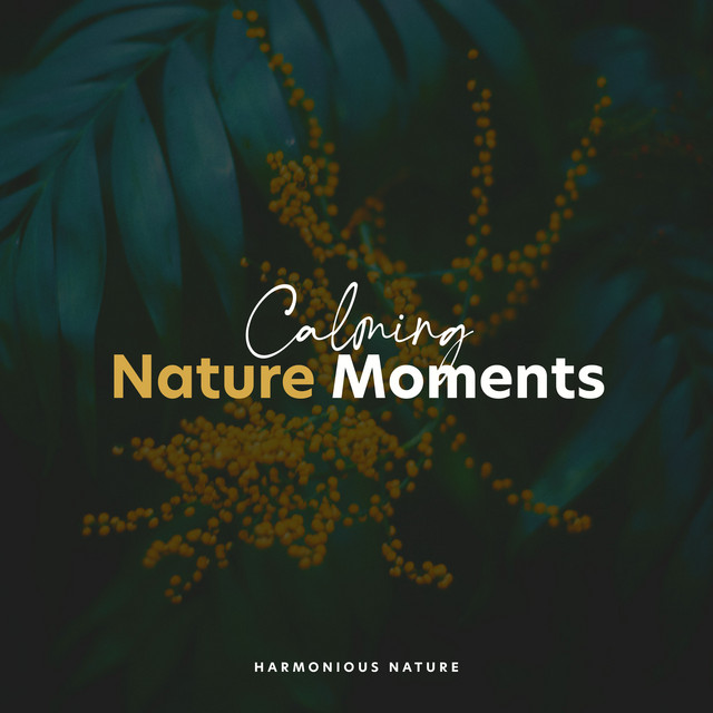 Calming Nature Moments cover art
