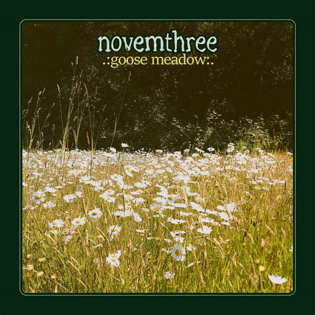 Goose Meadow cover