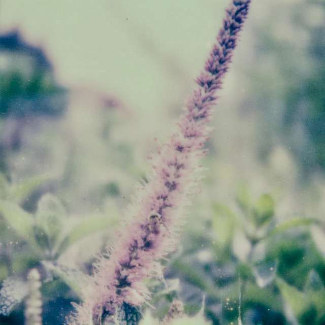 Ousia (single)
