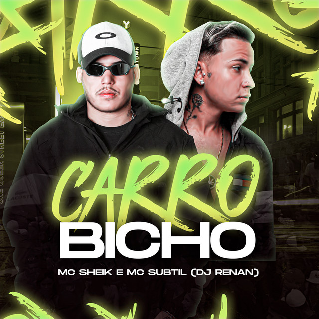 Carro Bicho