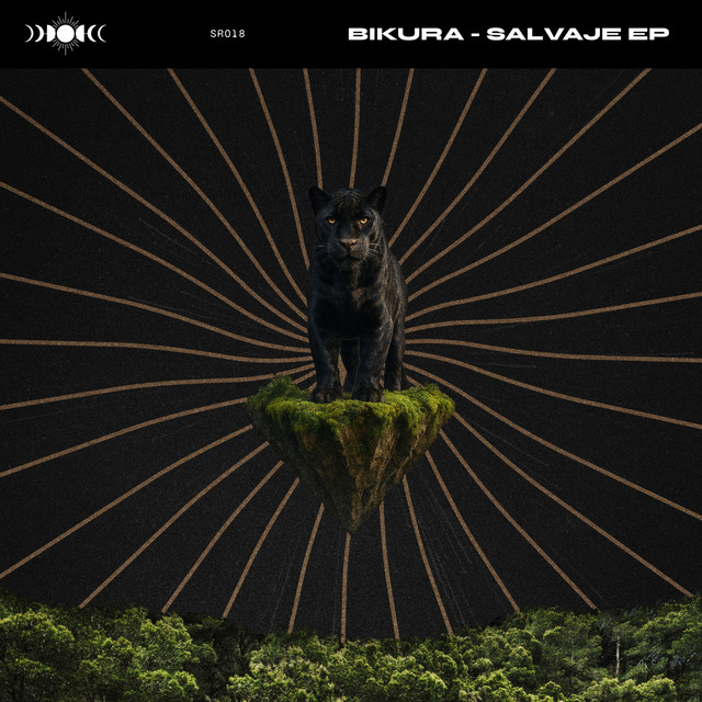 Salvaje cover art