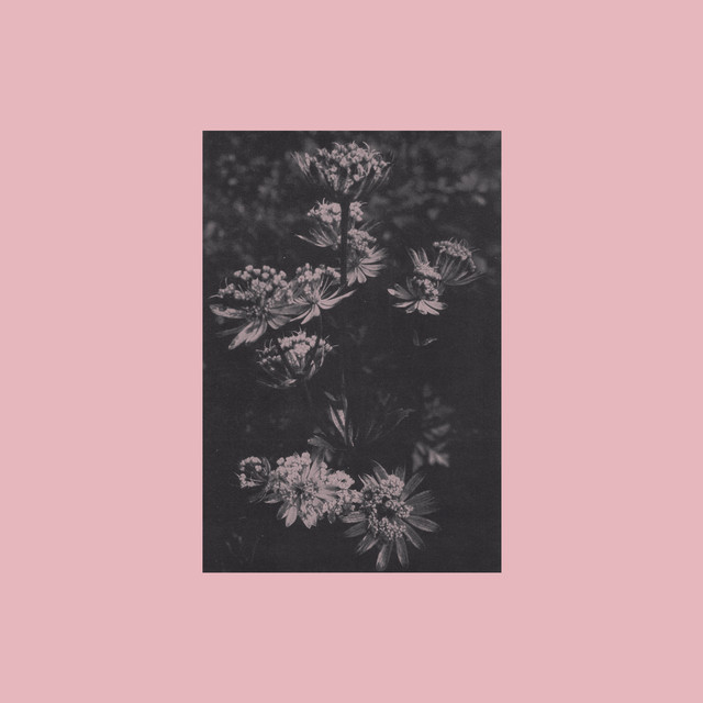 Studie i närhet, längtan & besvikelse cover art