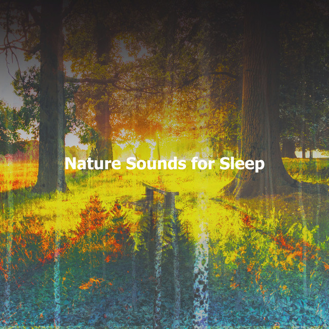 Nature Sounds for Sleep ! ! ! ! ! - Album by Nature Therapy | Spotify