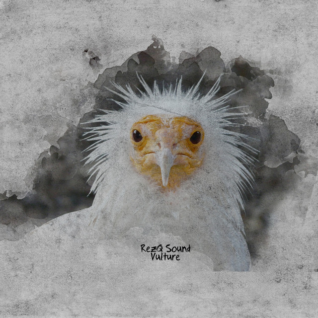 Cover art for RezQ Sound — Vulture