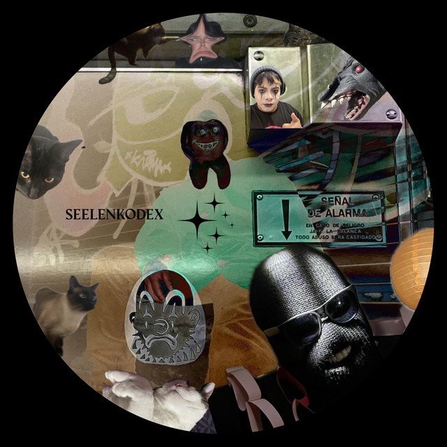 Señal de alarma cover art