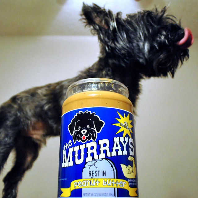 Rest in Peanut Butter Album by The Murrays Spotify