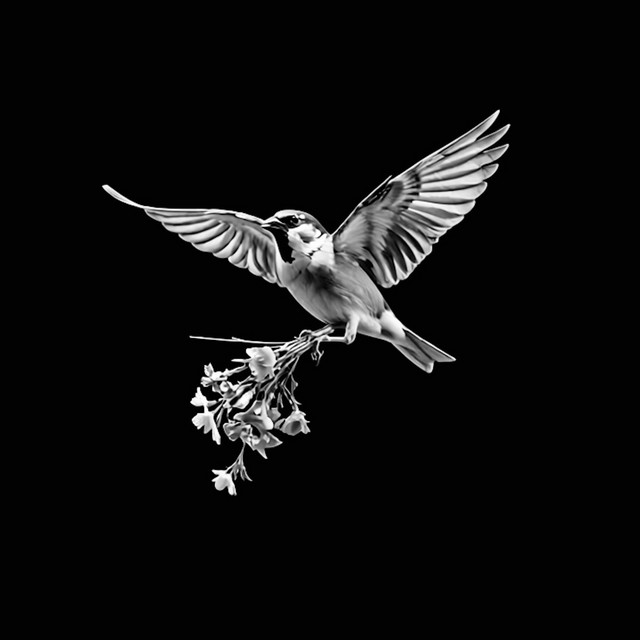 birds still sing the same song artwork