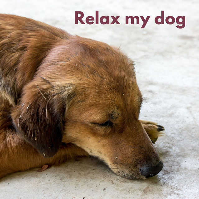 Dog Chill (Loopable, No Fade) cover art