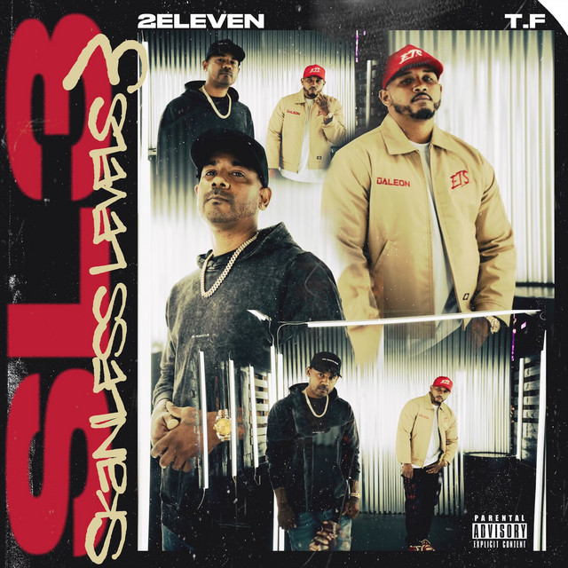 Skanless Levels 3 cover art