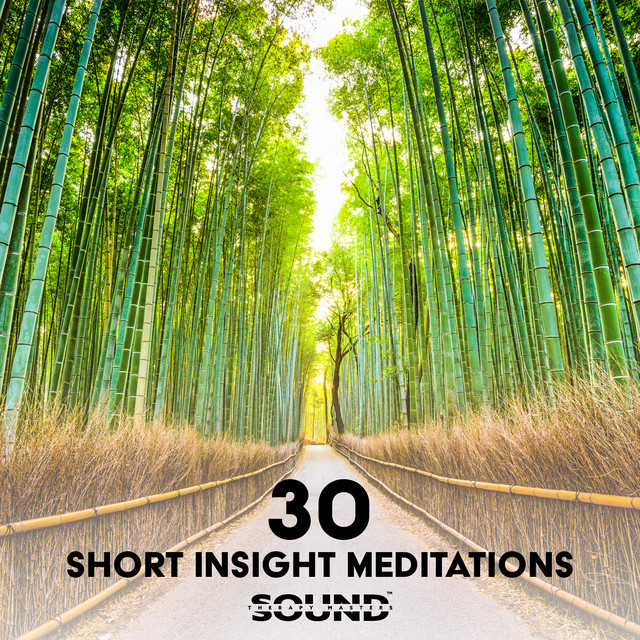 30 Short Insight Meditations: Healthy Mind, Cultivate More Calm Within, Meditation Practice with Headspace, Meditation to Let Go of Stress & Acceptation cover art