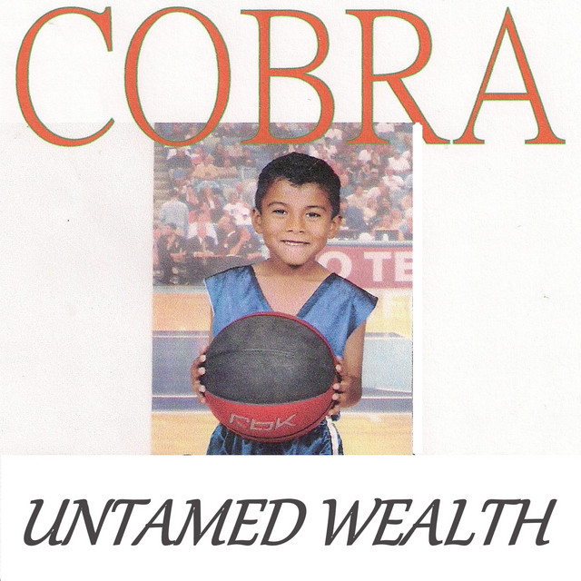 Untamed Wealth cover art