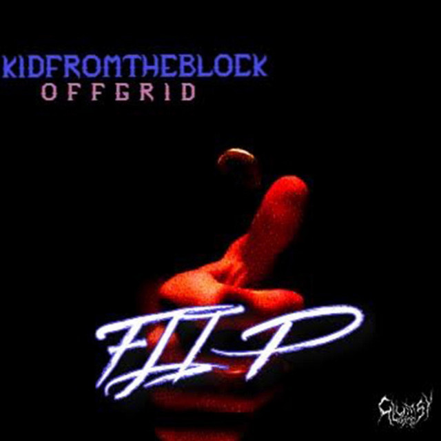Flip cover art