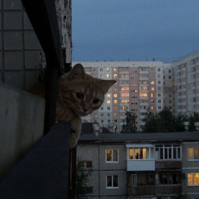 Обкладинка: СТАН — Zeyddy
