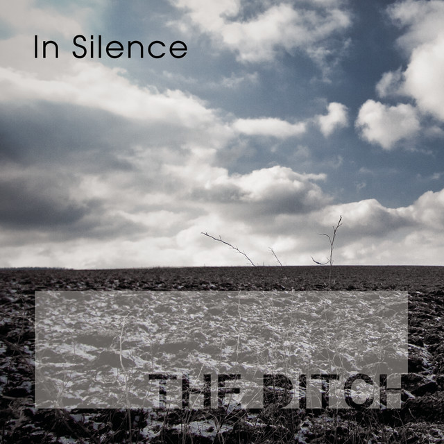 In Silence cover