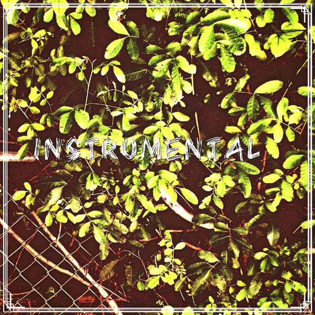 Instrumental cover art