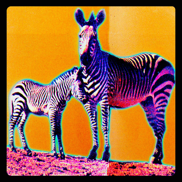 San Diego Wild Animal Park cover