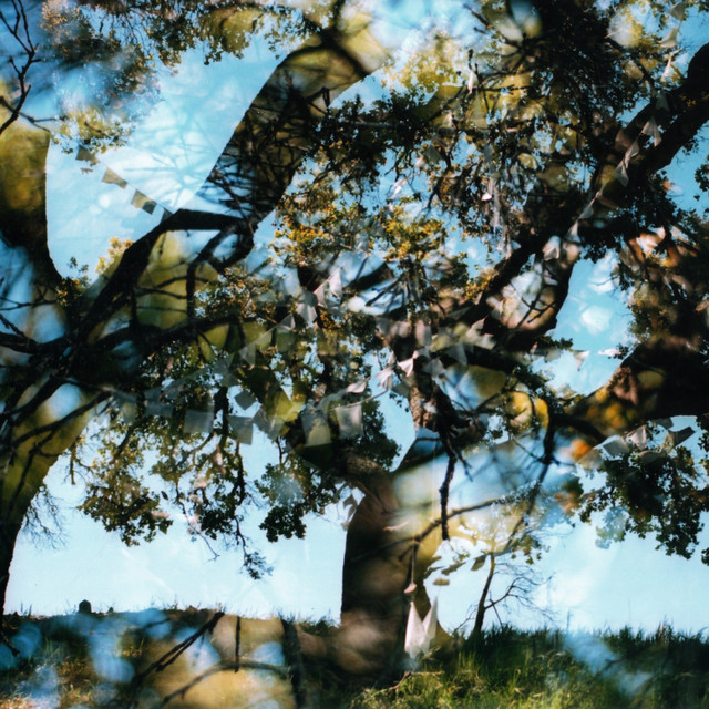 Common Wealth cover art