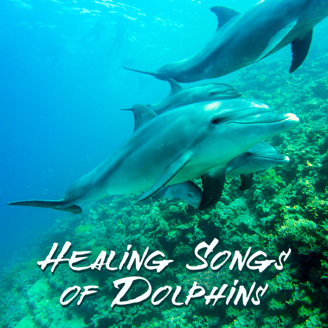 Healing Songs of Dolphins (Sleep Music, RelaxingTherapy Sounds for Reduce Stress, Insomnia and Depression, Inner Peace, Well-Being) cover art
