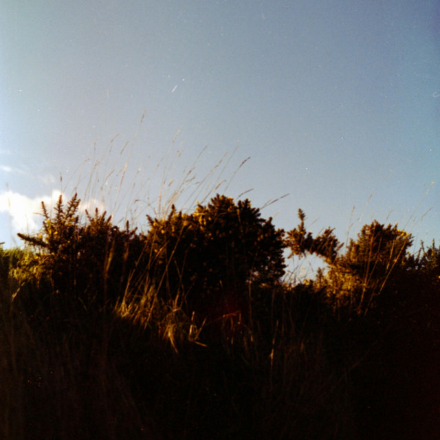 Gardens album image
