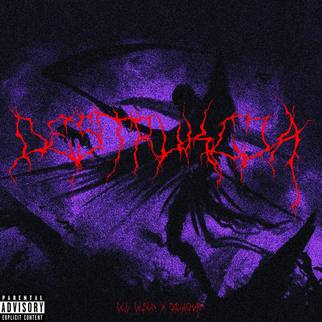 DESTRUKCJA cover art
