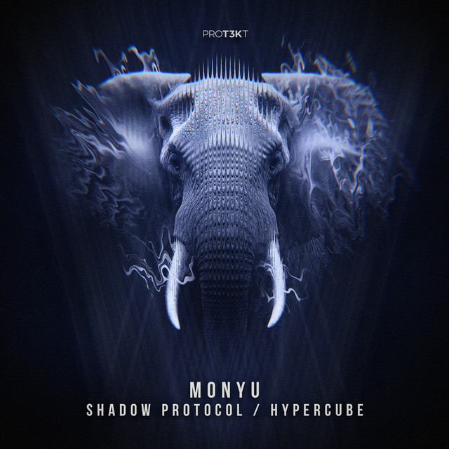 Shadow Protocol/Hypercube cover art