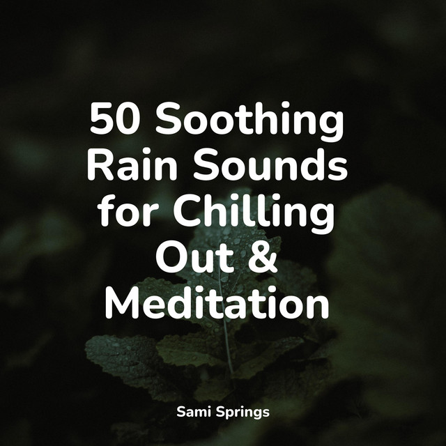 50 Soothing Rain Sounds for Chilling Out & Meditation - Album by ...