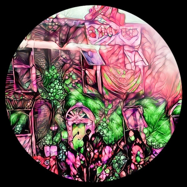 witch. cover art