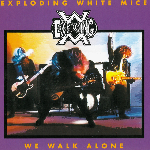 We Walk Alone cover art