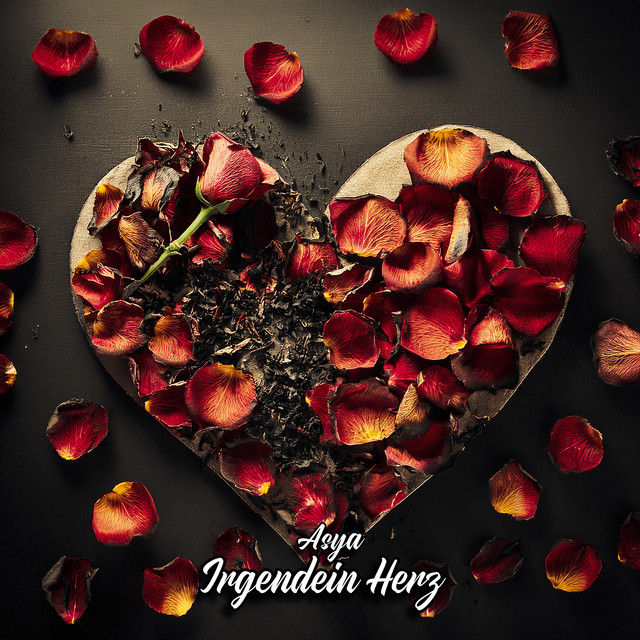 Irgendein Herz cover art