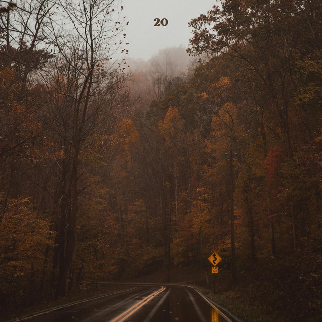 20 cover art