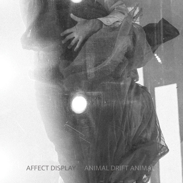 Animal Drift Animal cover art