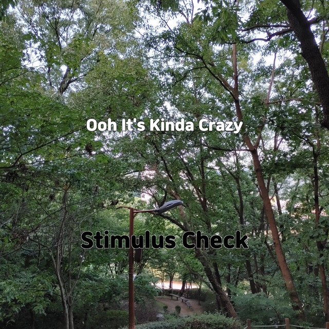 Stimulus Check