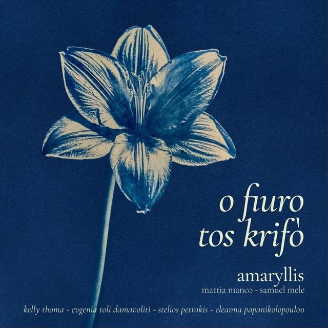 Amaryllis