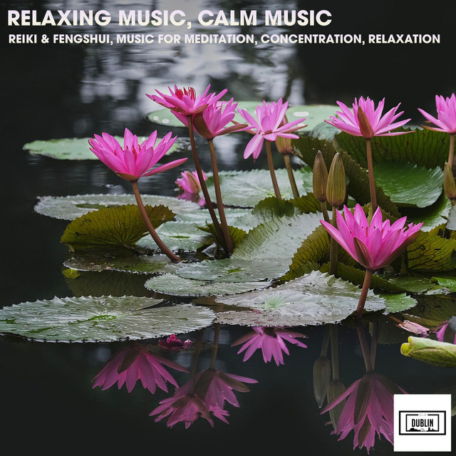 Reiki & Fengshui, Music for Meditation, Concentration, Relaxation cover art