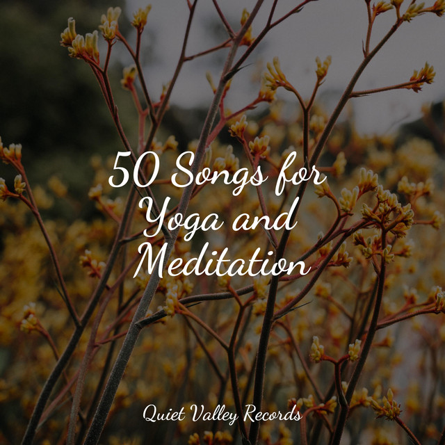 50 Songs for Yoga and Meditation - Album by Baby Relax Music Collection ...