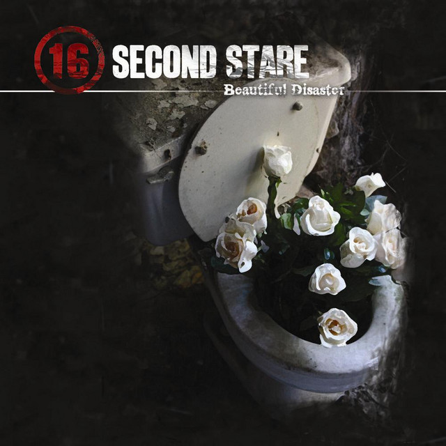 Beautiful Disaster cover