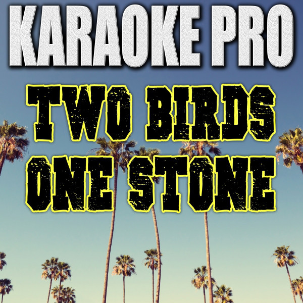 Two Birds One Stone (Originally Performed by Drake) [Instrumental