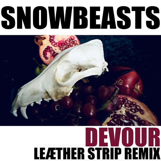Devour (Leæther Strip Remix) cover
